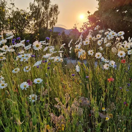 Ecolieu B & Bubble By Bubbletree Bbt Sarl 豪华帐篷