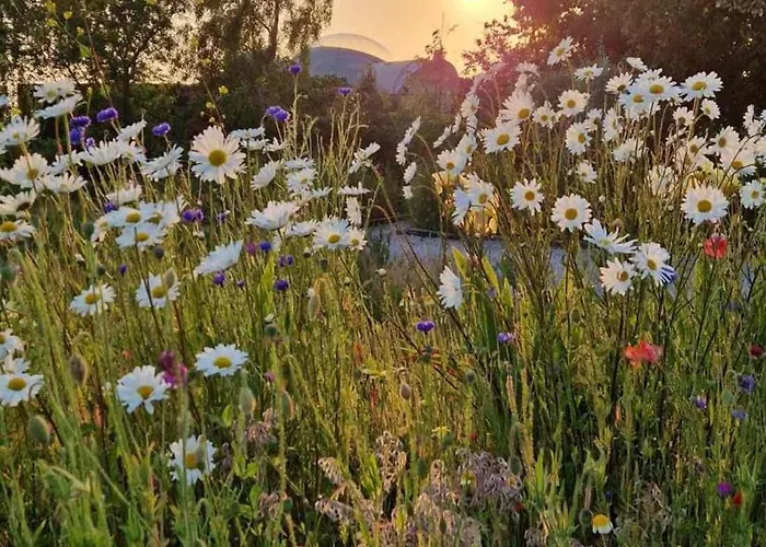 Ecolieu B & Bubble By Bubbletree Bbt Sarl Luxe tent *